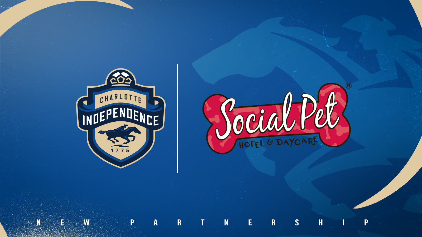 Charlotte Independence and Social Pet to Welcome Pups to the Pitch in 2024-2025 Seasons featured image